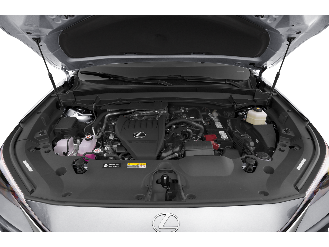 2024 Lexus TX 350