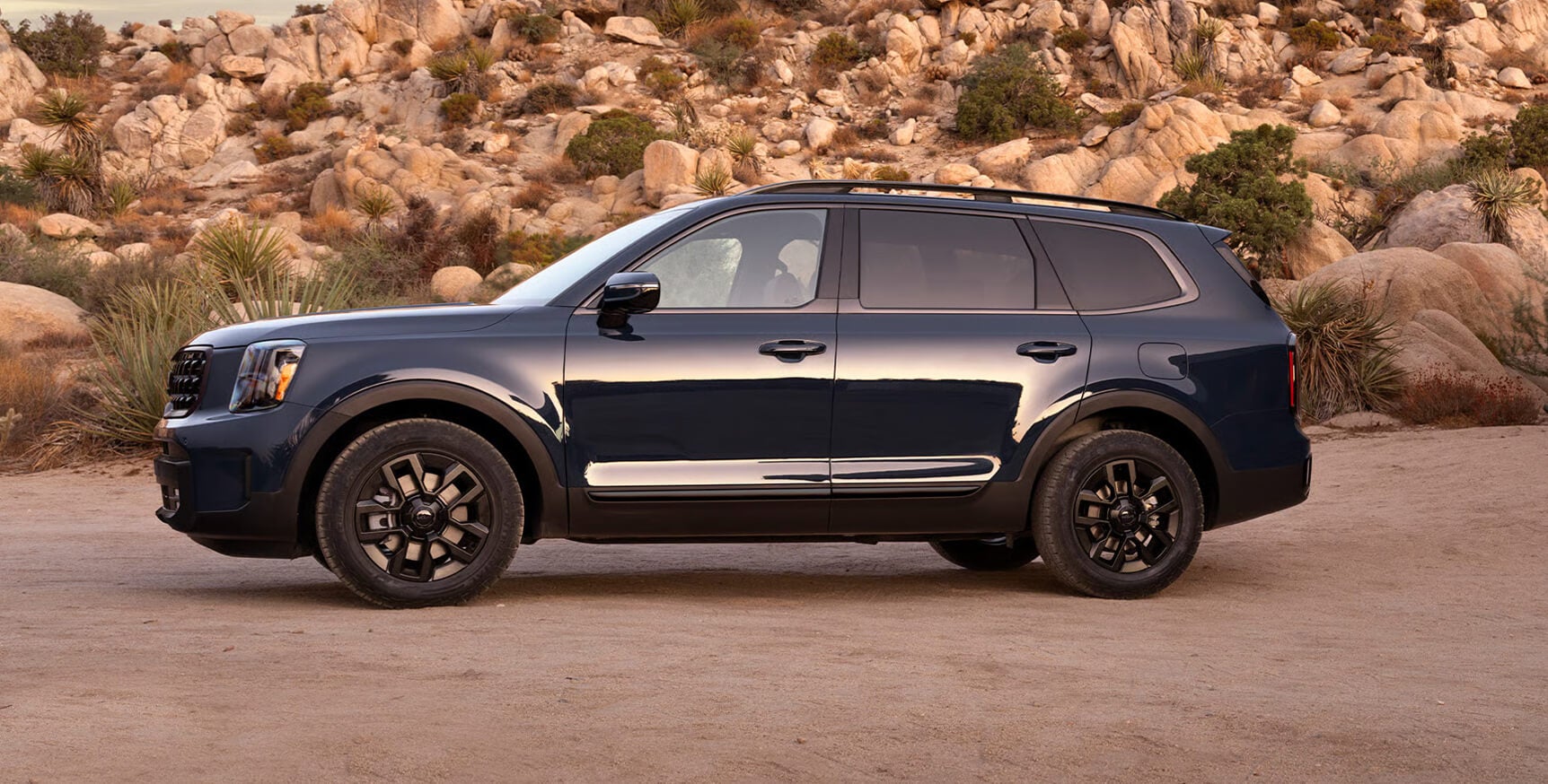 2025 Kia Telluride Hero